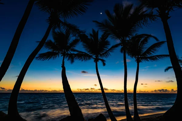 Silhueta do por do sol de palmeiras — Fotografia de Stock