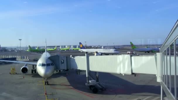 空港の航空機の準備 — ストック動画
