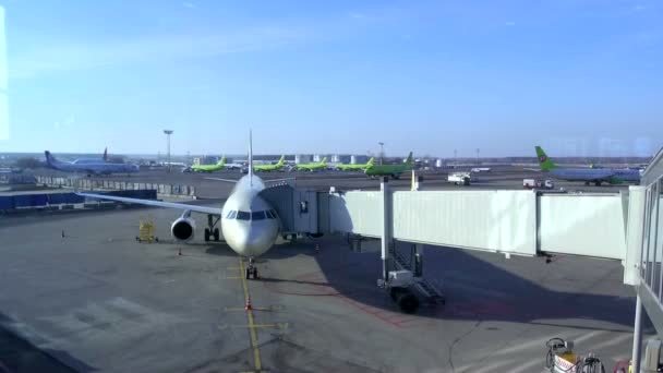 Preparazione di aeromobili aeroportuali — Video Stock