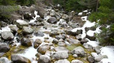 Dağ nehir taşları