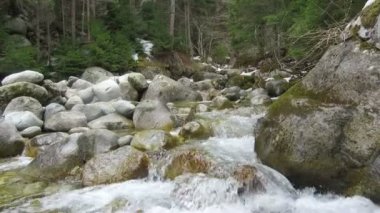 Dağ nehir taşları