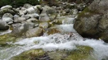 Dağ nehir taşları