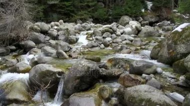 Dağ nehir taşları