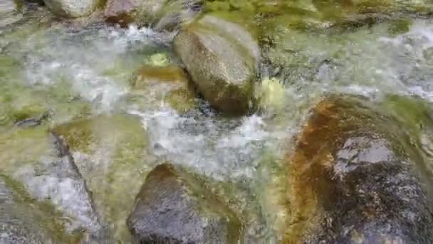 Hegyi folyó kövek — Stock videók