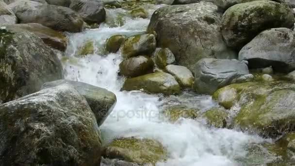 Mountain flod stenar — Stockvideo