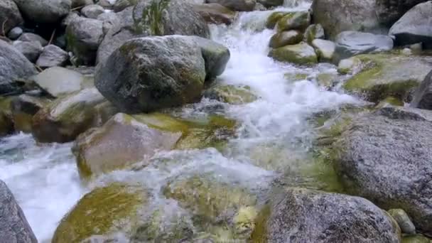 Montaña río piedras — Vídeo de stock