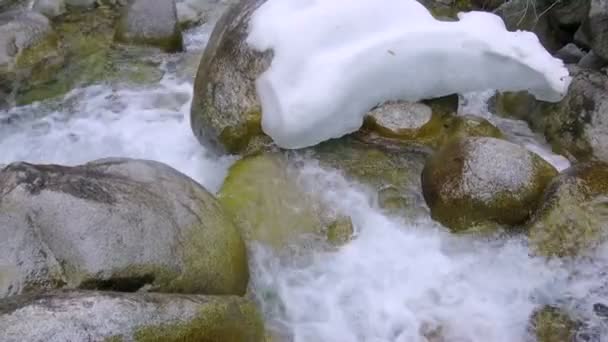 Berg rivier stenen — Stockvideo