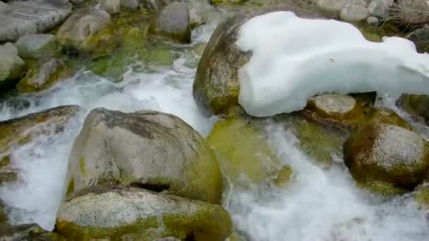 山川の石 — ストック動画