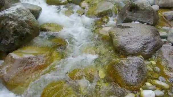 Berg rivier stenen — Stockvideo