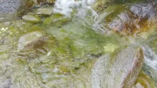 Pietre del fiume di montagna — Video Stock