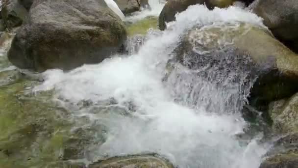 Mountain flod stenar — Stockvideo