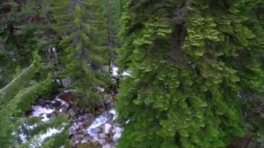 Dağ nehir taşları