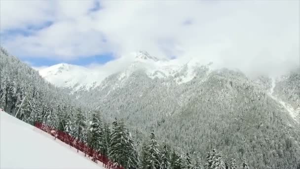 Fichtenwald im Winter in den Bergen — Stockvideo