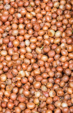 Birçok soğan arka plan