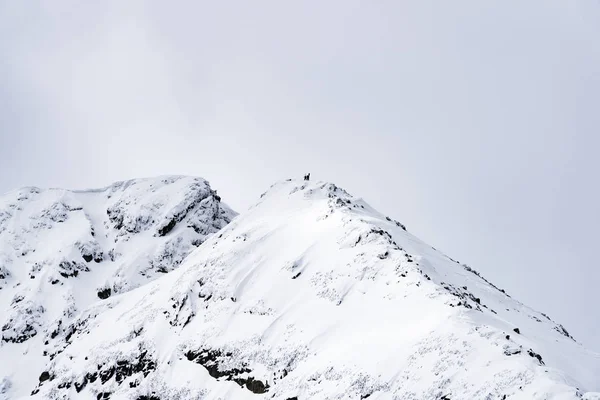 겨울에 산의 정상 — 스톡 사진