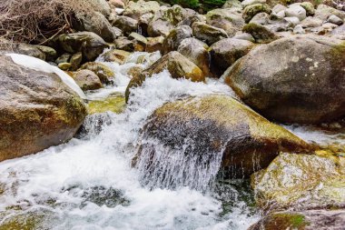 Dağ nehir taşları