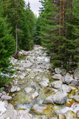 Dağ nehir taşları
