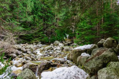 Dağ nehir taşları