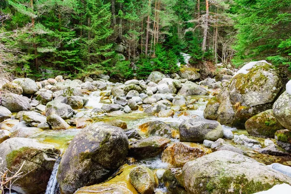 Pietre del fiume di montagna — Foto Stock