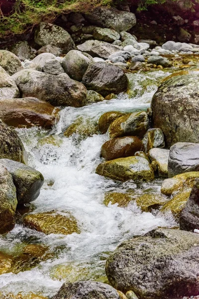 Pietre del fiume di montagna — Foto Stock