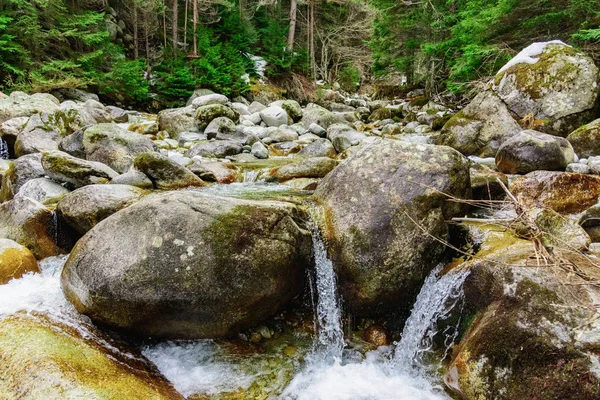 Dağ nehir taşları — Stok fotoğraf