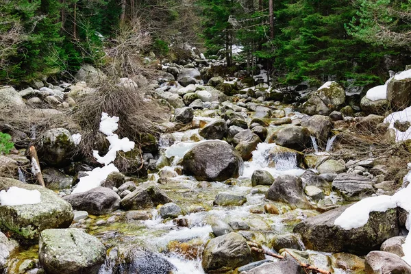 Dağ nehir taşları