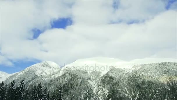 Hiver paysage montagne forêt neige — Video