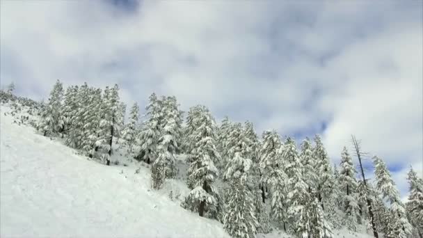 Inverno paisagem montanha floresta neve — Vídeo de Stock
