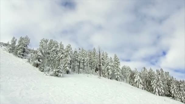 Vinter landskap berg skog snö — Stockvideo