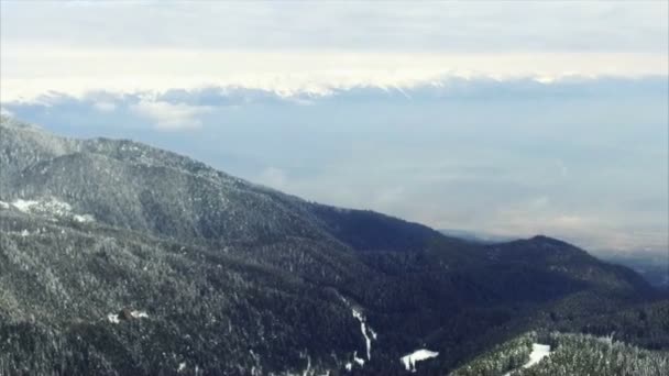 Hiver paysage montagne forêt neige — Video