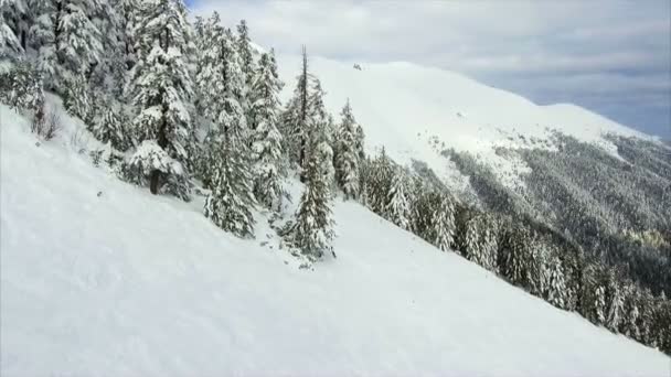 Vinter landskap berg skog snö — Stockvideo