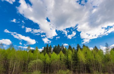 Çayır manzarası ve gökyüzü