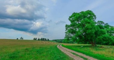 Bir tarlada toprak yol