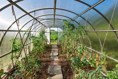 bahçede sera kemerli