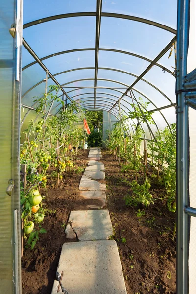 In the garden arched greenhouse — Stock Photo, Image