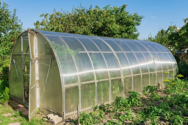 In the garden arched greenhouse — Stock Photo, Image