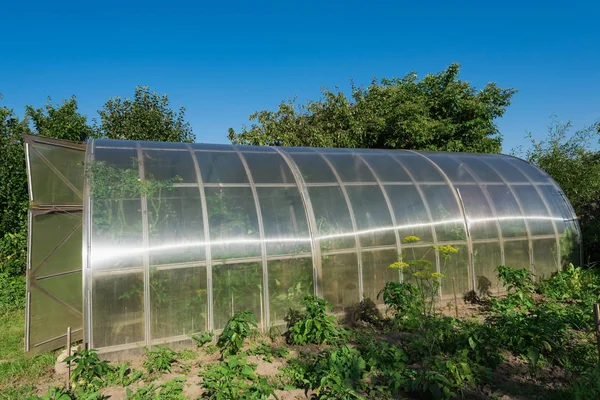 En el jardín invernadero arqueado — Foto de Stock