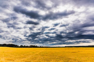 eğimli alan manzara