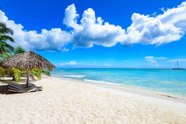 Palm okyanus gökyüzü