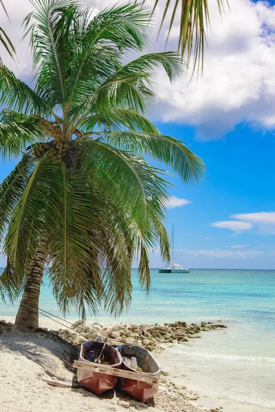 Palm strand schäslong — Stockfoto