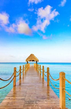 Arbor çatılı palmiye yaprakları