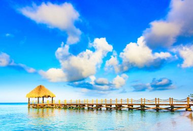 Arbor çatılı palmiye yaprakları