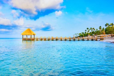 Arbor çatılı palmiye yaprakları