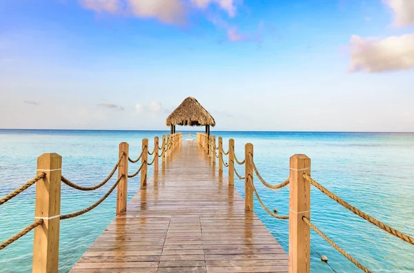 Arbor çatılı palmiye yaprakları