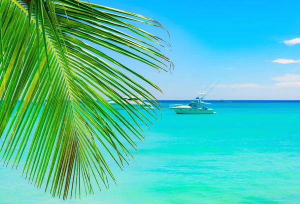 Boat Caribbean sea beach — Stock Photo, Image