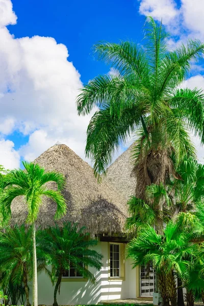 Huis met een dak gemaakt van palm takken — Stockfoto