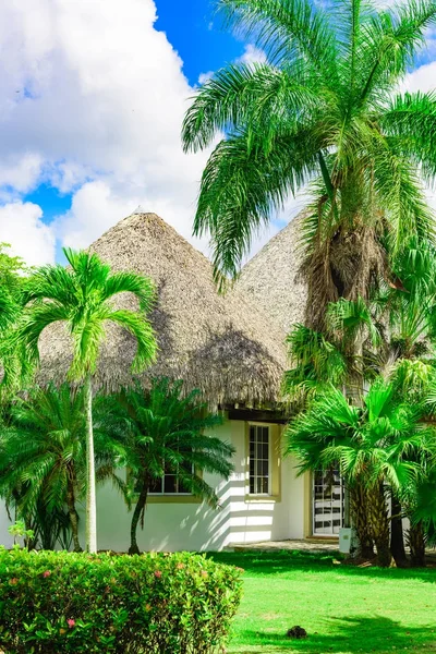 Huis met een dak gemaakt van palm takken — Stockfoto