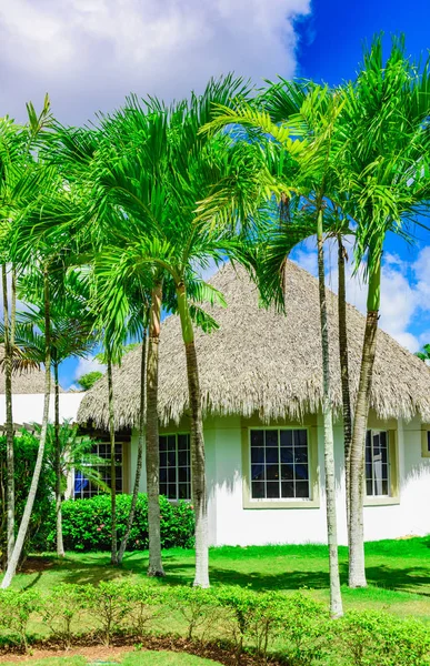 palm dallarında yapılan bir çatı ile ev