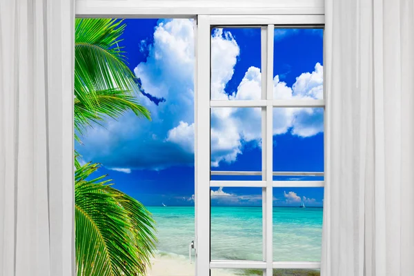 Okno otwarte palm beach — Zdjęcie stockowe