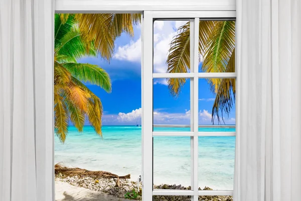 창 오픈 팜 비치 — 스톡 사진